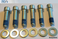 SGF - Schraubensatz M24 X 70 BI-10009
